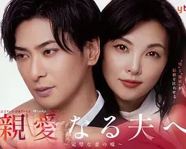 致親愛的丈夫 完美妻子的謊言海報