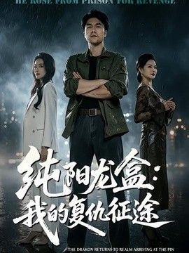 純陽龍盒：我的復仇征途海報