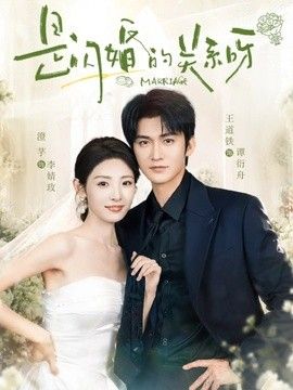 是閃婚的關(guān)系呀海報(bào)