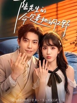 陸先生的命定妻她颯又野海報(bào)